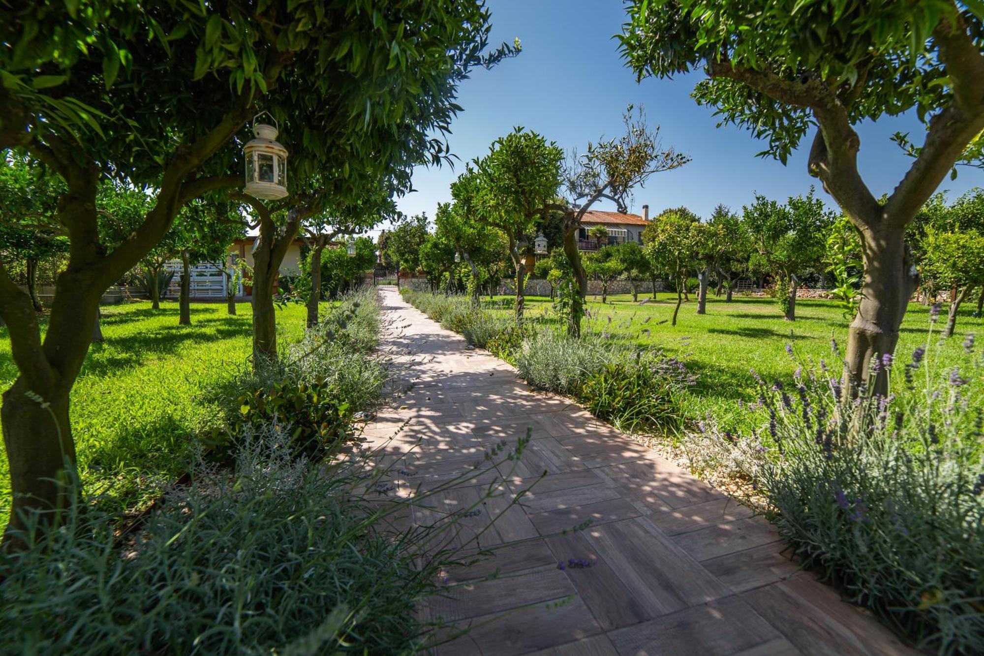 سان فيليس سيرسيو I Lecci Guesthouse المظهر الخارجي الصورة