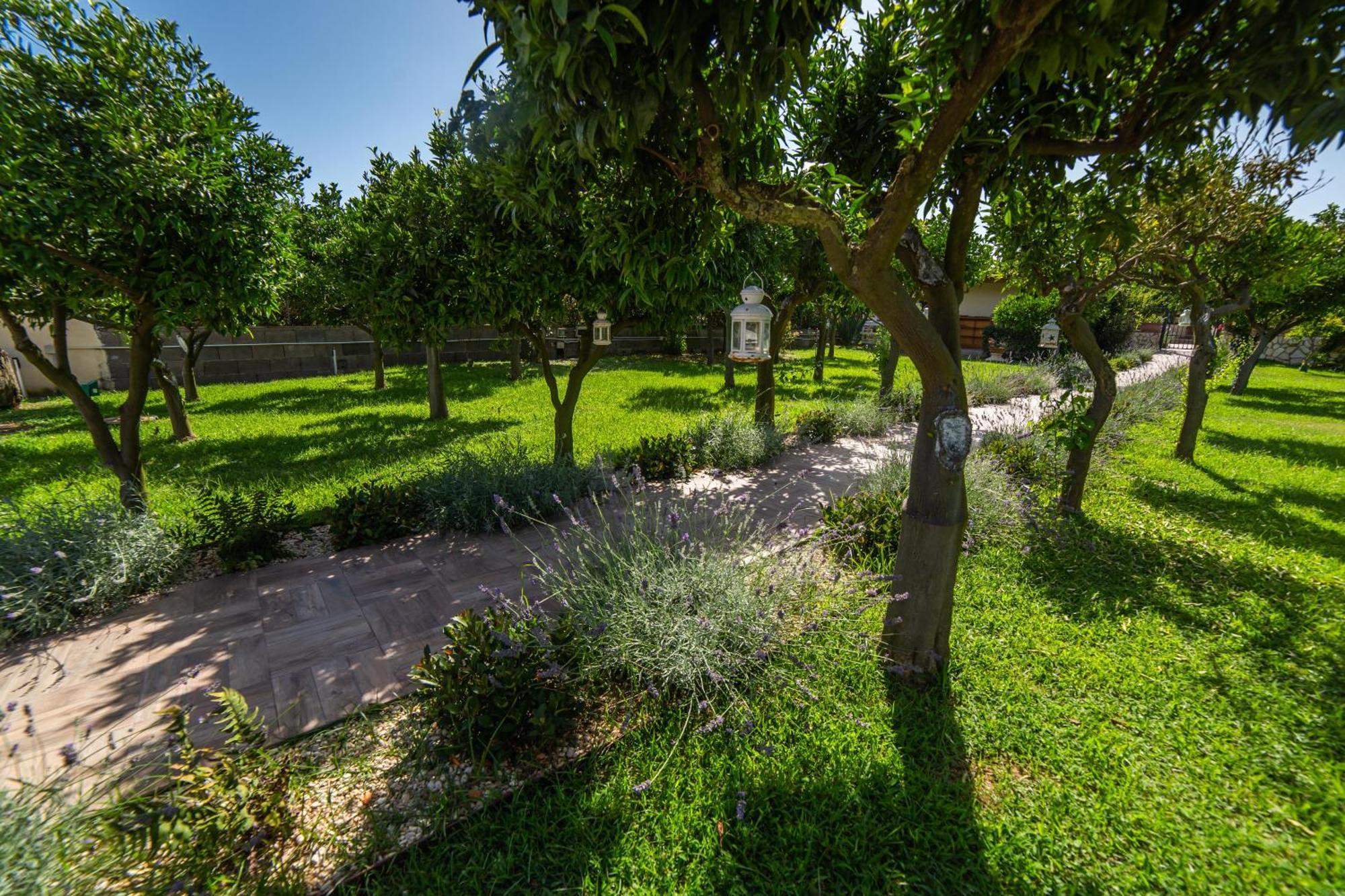 سان فيليس سيرسيو I Lecci Guesthouse المظهر الخارجي الصورة