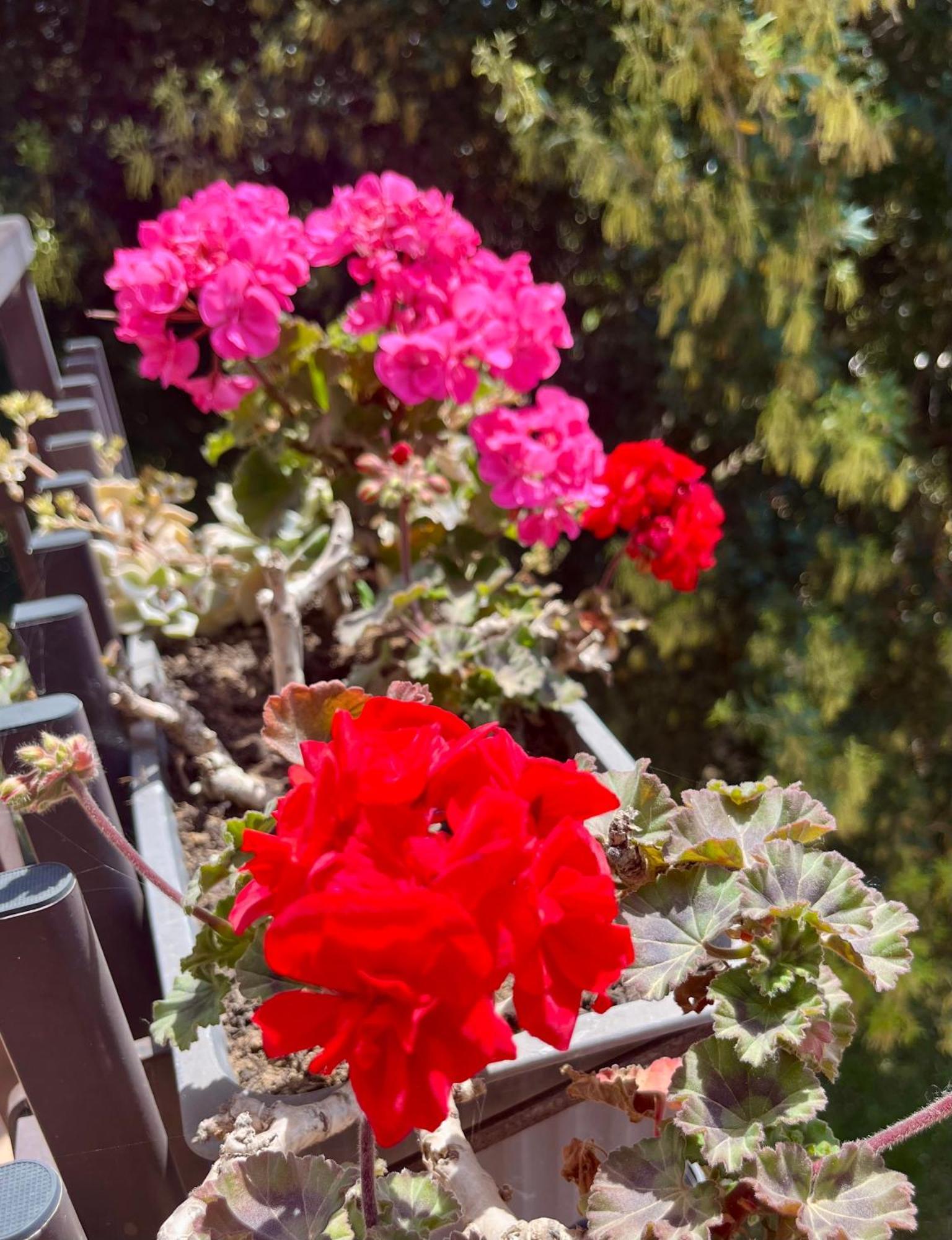 سان فيليس سيرسيو I Lecci Guesthouse المظهر الخارجي الصورة